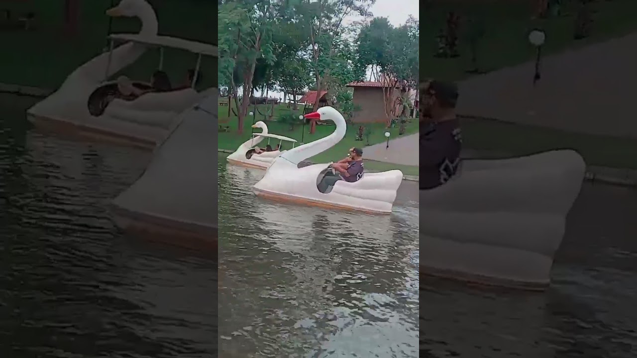 Passeando de pedalinho 