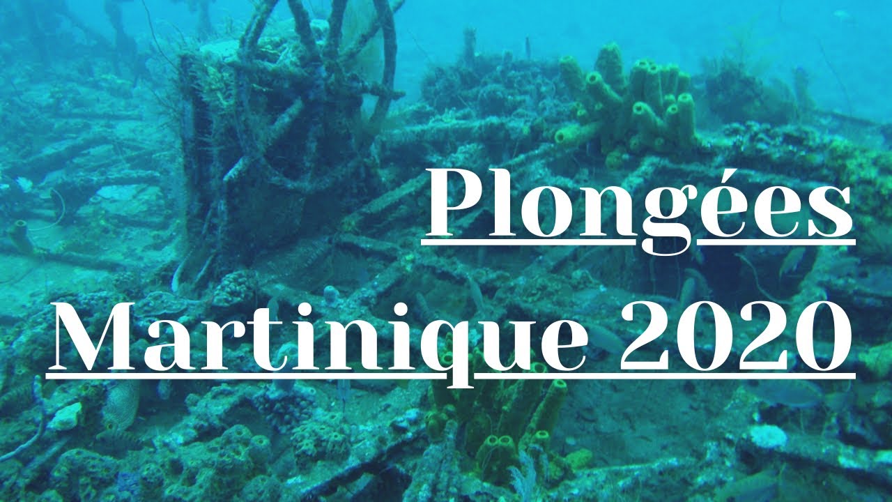 MARTINIQUE DIVING 2020 YouTube
