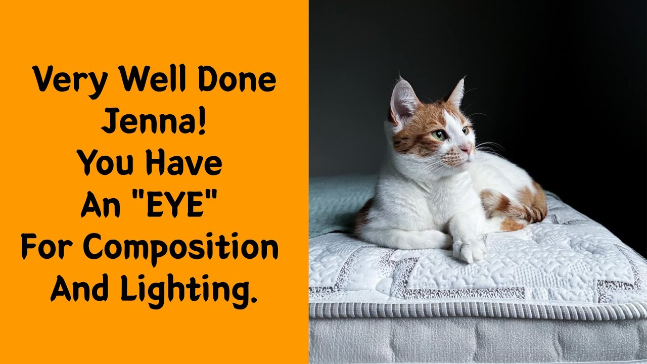 50 Times People Caught “Accidental Renaissance Cats” And Just Had To Share The Pics - Cute cat