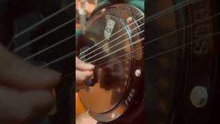 Cümbüş Çiçekten Harman Olmaz Resimi