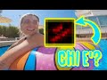 Chi è  venuto IN PISCINA con me???  😱 😱 😱 😱