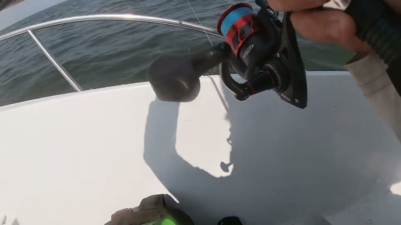 Flounder Pounder 2024 Lewes Deleware