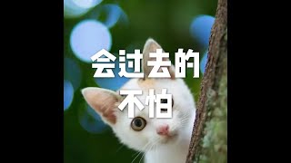 202001 会过去的 不怕51444