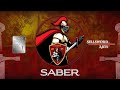 Saber final  swordstrong kc 2024