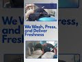 Handle Bulk Laundry Service