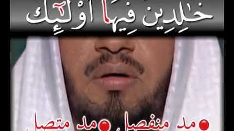 سورة البينة Surat Al Bayyinah (Easy Tajweed)