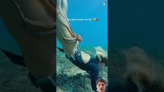 Ocean dive, animal encounters 😳🌊🐡#ocean#animal#fish#funny#usa