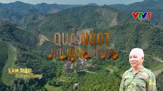 Quả Ngọt Nơi Biên Cương Làm Giàu Trên Quê Hương Vtv5