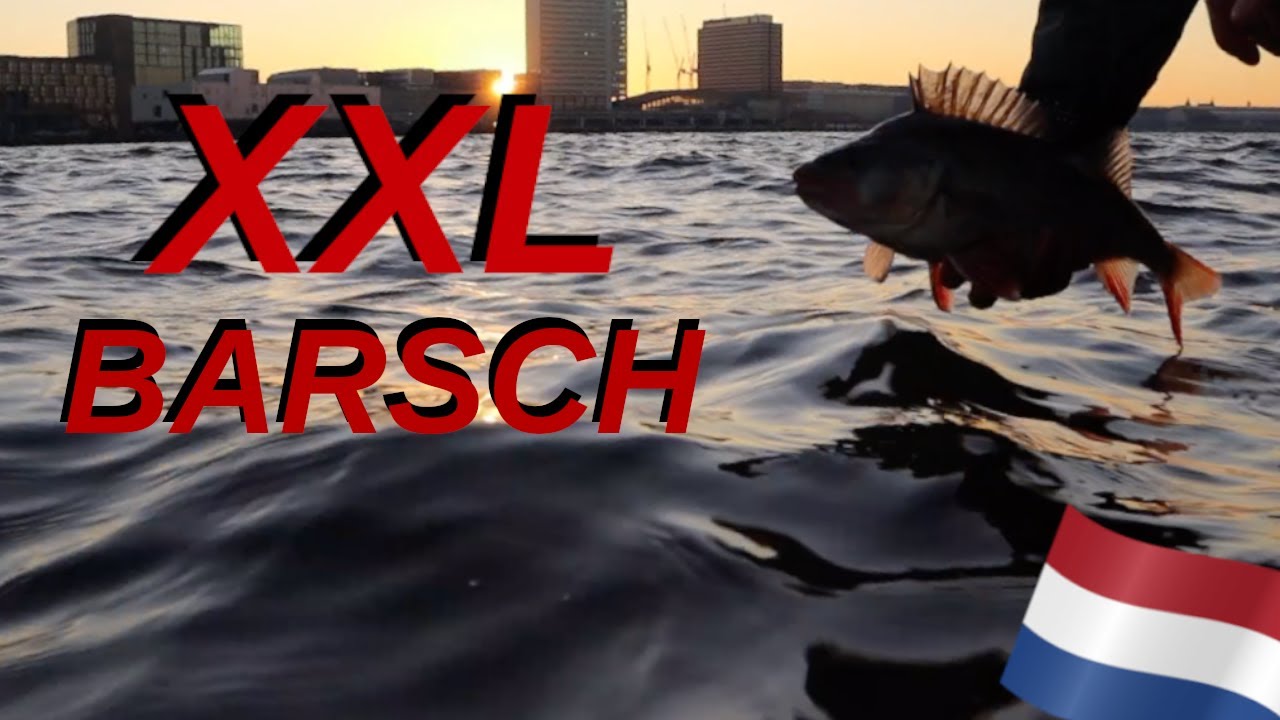 Vertikal auf Zander + XXL Barsch