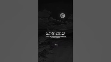 تلاوة هادئة الشيخ ياسر الدوسري 🤍🩶🎧🌿#راحة_نفسية_قرآن #راحه_وطمأنينه_للقلب
