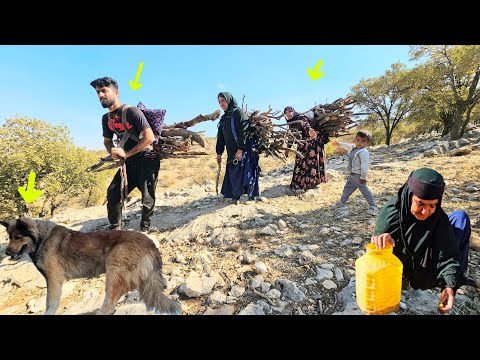 From Firewood To Empathy How Did The Operator Warm The Hearts Of A Family