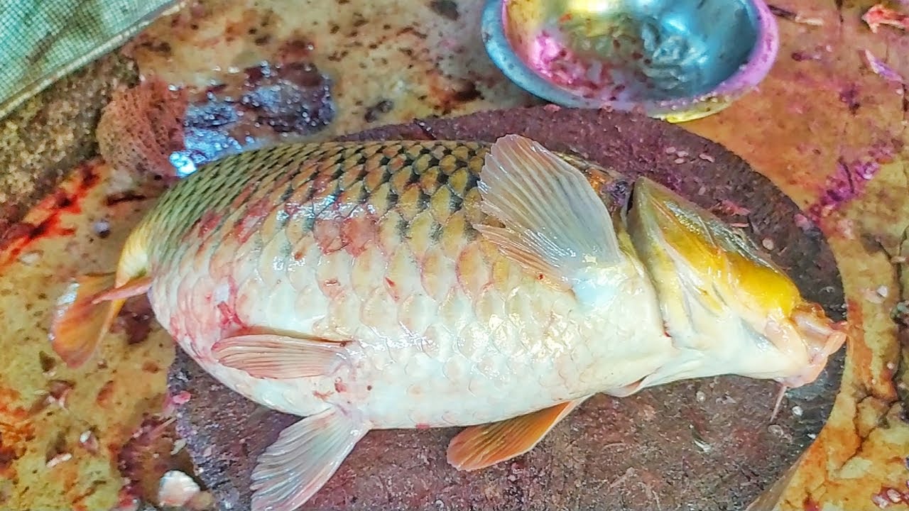 Masterful Carp Fish Cutting Skills | Expert Techniques for Clean and Precise Cuts