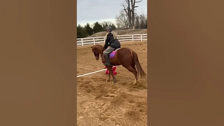 Western games rider trys jumping!?!?  #scary #hors...