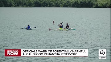 Officials warn of potentially harmful algal bloom in Mantua Reservoir