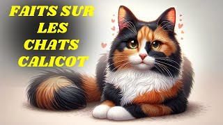 15 faits étonnants sur les chatsTricolore EXPLIQUÉE