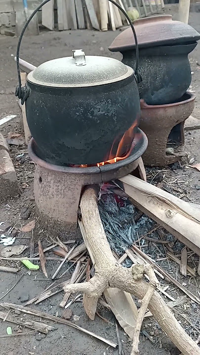 Memasak dengan kayu bakar #music #storywa #nature #laguviral #lagumahal