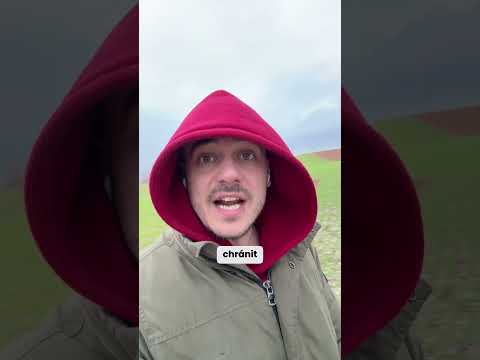 Cover: Copilot tajně vkládá reklamu do vašeho kódu #aitoday