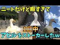 【2ch面白いスレ】ニートだけど暇すぎて、一日中アヒルをストーカーしたwww