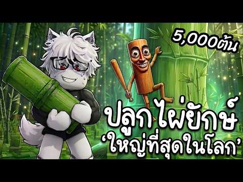 ปลูกไผ่ที่ใหญ่สุดในโลก??ด้วย 5,000 ต้น และ AFKฟามเมล็ด | Grow a Garden 2