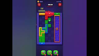 Block Out! Color Sort Puzzle level 29 gameplay walkthrough solution