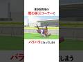 ハリボテエレジーの面白い雑学#競馬