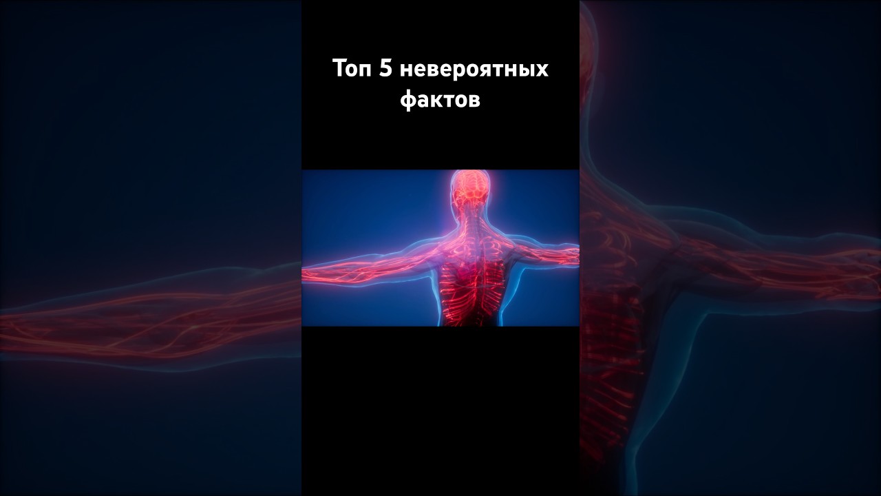 Топ 5 невероятных фактов 