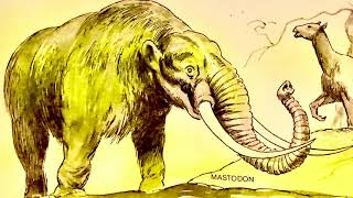 I Can Read About Prehistoric Animals (1977)