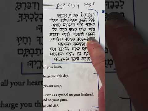 V Ahavta Very Slowly Chanted 