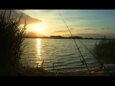 Video: Հունիսյան ձկնորսություն