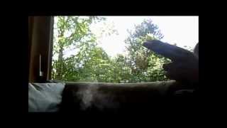 Muzzle Flash Test 2 /w Mikail