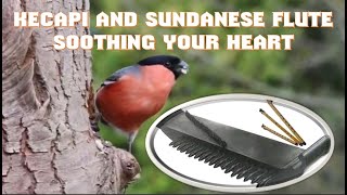 1 HOURS RELAXING MUSIC SUNDANESE KECAPI & FLUTE IN AMAZING NATURAL PANORAMA screenshot 4