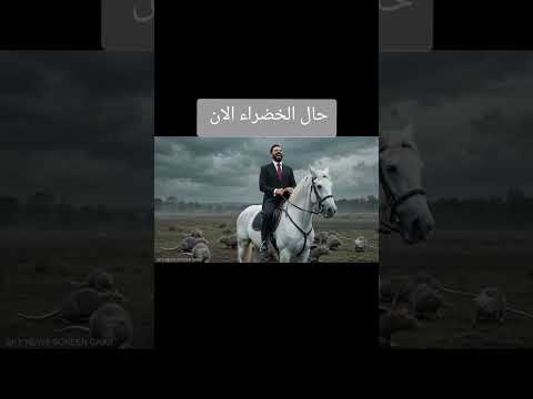 حال خضراء الان #اكسبلور