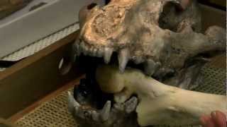 Maker Camp Week Four Preview