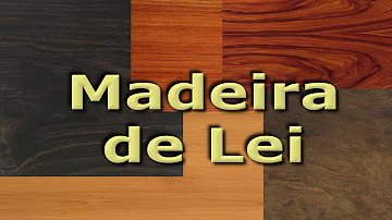 O que a madeira simboliza?