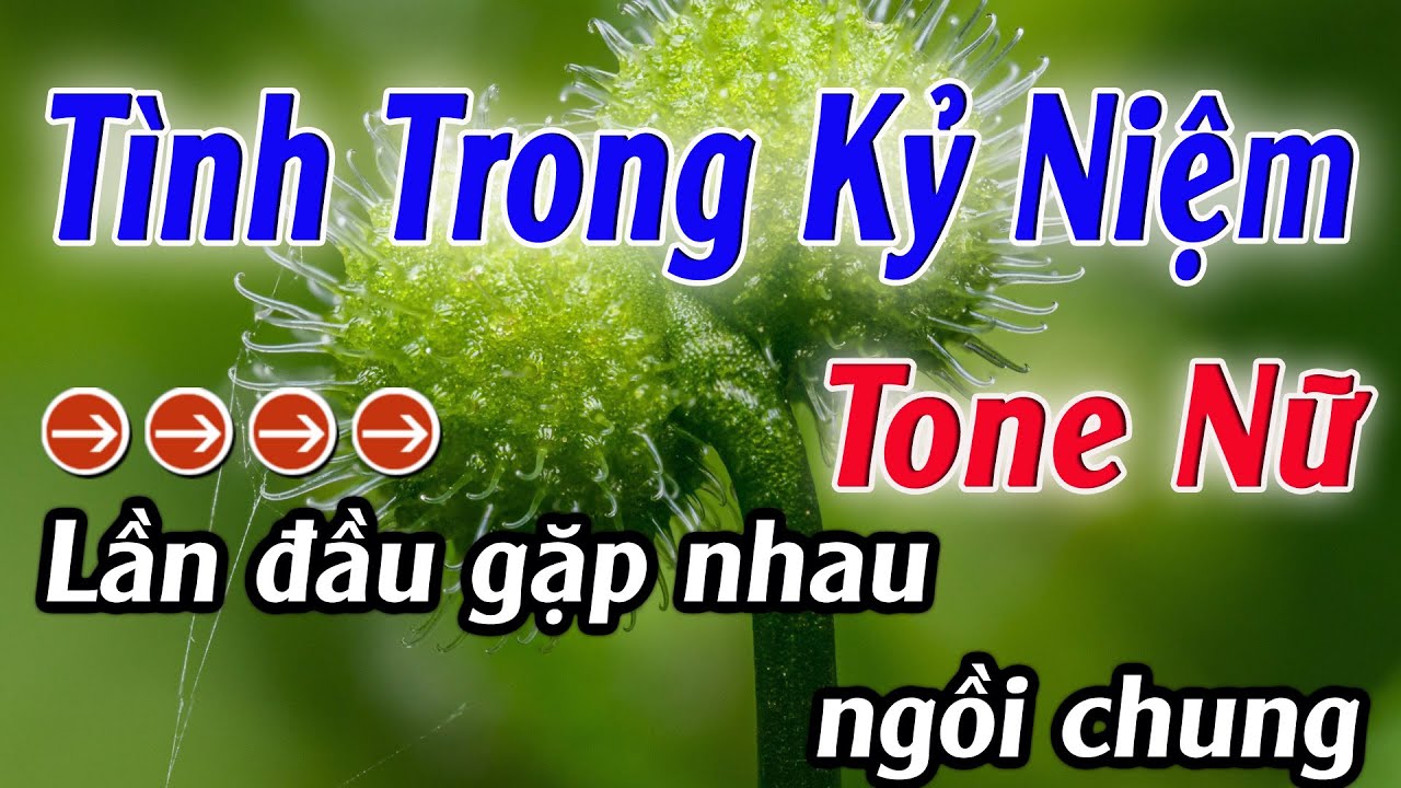 Karaoke Tình Trong Kỷ Niệm Karaoke Tone Nữ Beat Hay Nhất 2025 Karaoke Mê Nhạc Sống