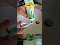 forever living products #foreverbrighttoothgel #toothgel#gums #teethcare #ytshorts #shorts #viral