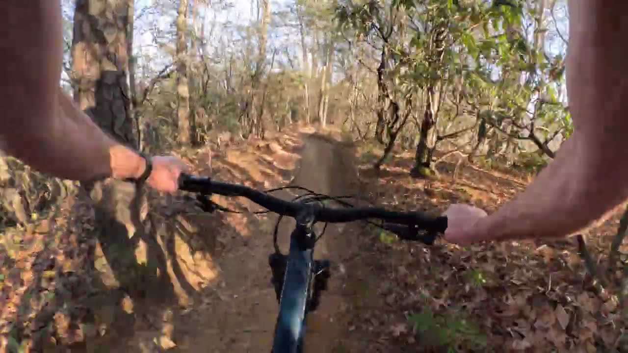 Kitsuma, Old Fort NC 12/27/2025