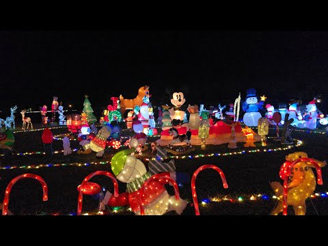 Naughty Cat 🐱 Christmas Lights Walk Through Displays🎄Boba Thai Taste Test 😋