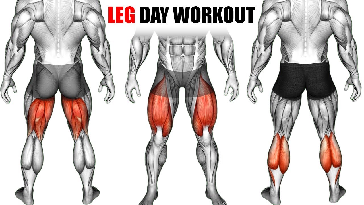 How To Get Massive Legs at Home The Perfect Leg Workout To Build Big ...