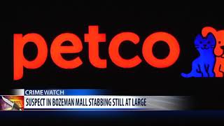 Suspect in Bozeman stabbing still at large
