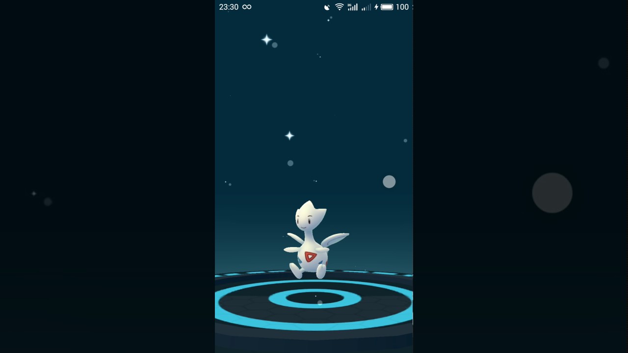 Эволюция тогепи в тогетика