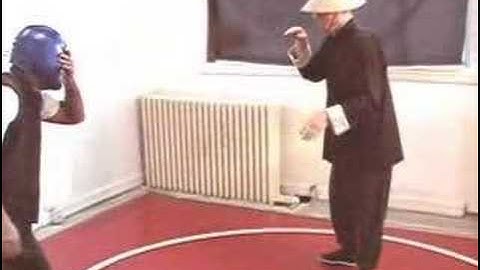 The Kung Fu Master 15 -- Snake Style