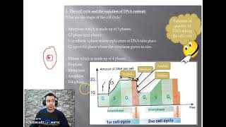 Chapter 2: Activity 4: Identical Reproduction and Cell Cycle part 2 #Grade_11_science