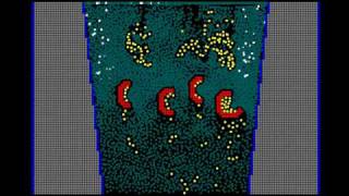 DPD Simulation of particles adhesion to the wall.wmv