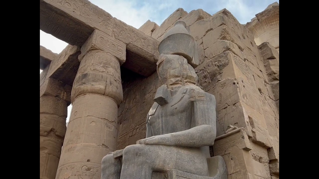 Blue Lotus Youtube Channel