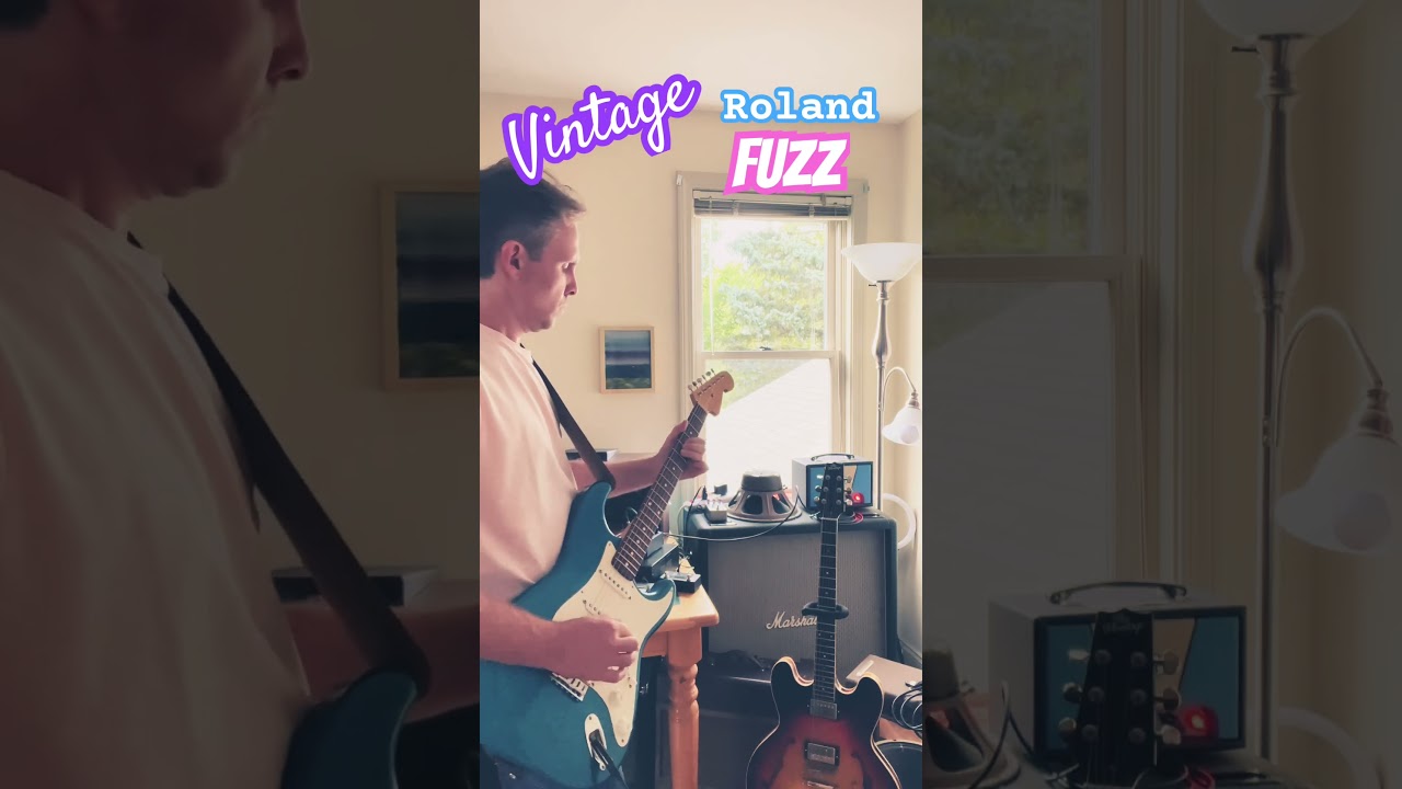 1970s VINTAGE ROLAND FUZZ AF-100 Bee Baa 