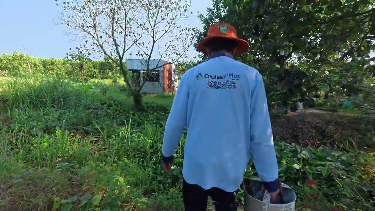 Hôm nay 20-12-2025 âm lịch