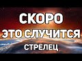 СТРЕЛЕЦ. ЭТО СКОРО НЕИЗБЕЖНО СЛУЧИТСЯ И ИЗМЕНИТ ТВОЮ ЖИЗНЬ. АВГУСТ 2021. ПРОГНОЗ ТАРО ОНЛАЙН! TAROT.