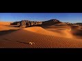 Пустыня Сахара. Можно ли выжить?