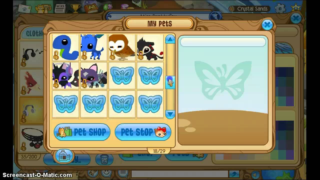 Animal Jam Buying A Pet! YouTube